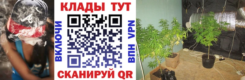 Купить наркотики цена Ветлуга Cocaine  Метадон  Амфетамин  ГАШИШ  Каннабис  А ПВП 