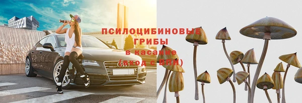 прущая мука Алзамай