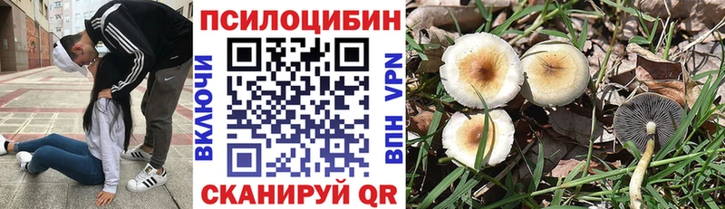 ОМГ ОМГ вход  Ветлуга  Галлюциногенные грибы Psilocybe 